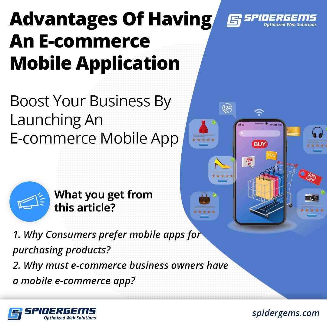 E-commerce Web Application: Why Your Business Needs Web App ?